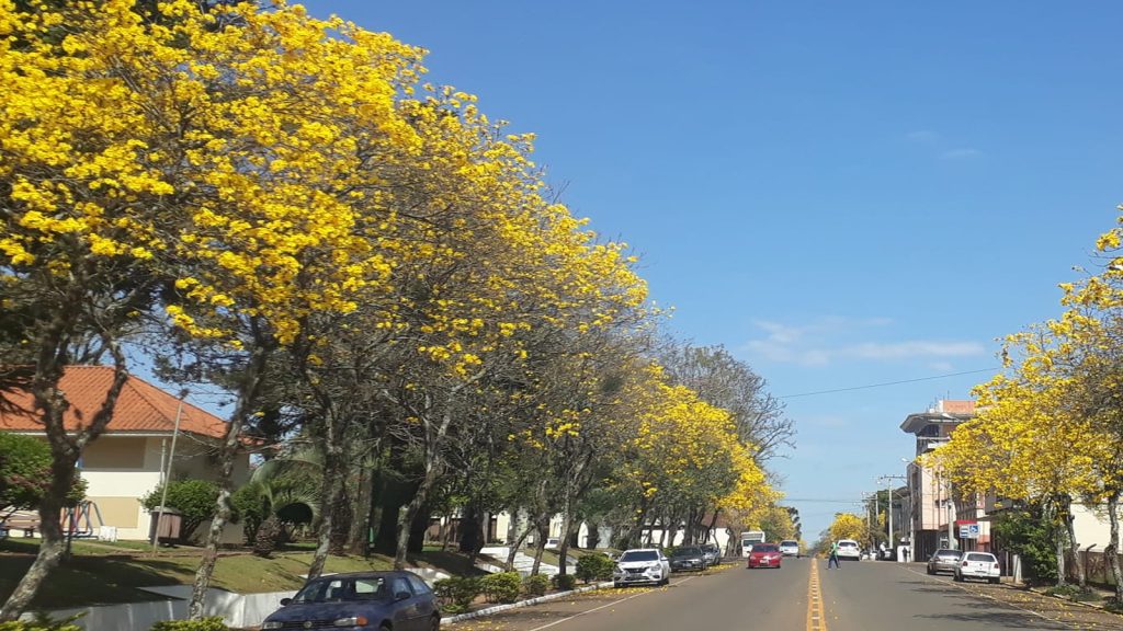 Entrevista: especialista fala sobre cenário climático para a região