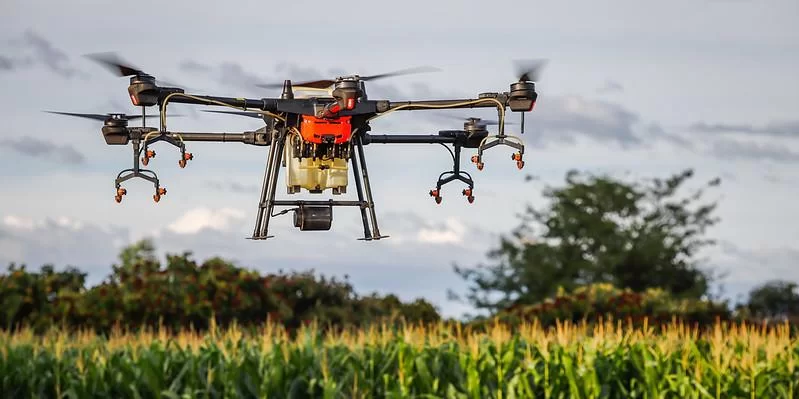 Ibama suspende aplicação de agrotóxico à base de fipronil em pulverização aérea