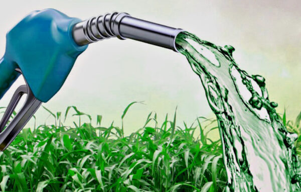 Liderados pelo Brasil, emergentes dominam expansão global de biocombustíveis