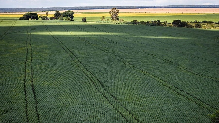 Agro gaúcho espera publicação de decreto federal com definições para endividamento
