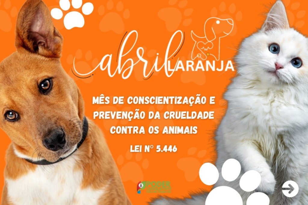 Câmara de Vereadores de Não-Me-Toque promove campanha pelo abril laranja nas escolas