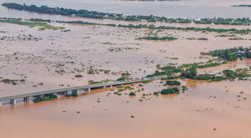 Agronegócio gaúcho diz que importação de arroz não era necessária e critica decisão do governo