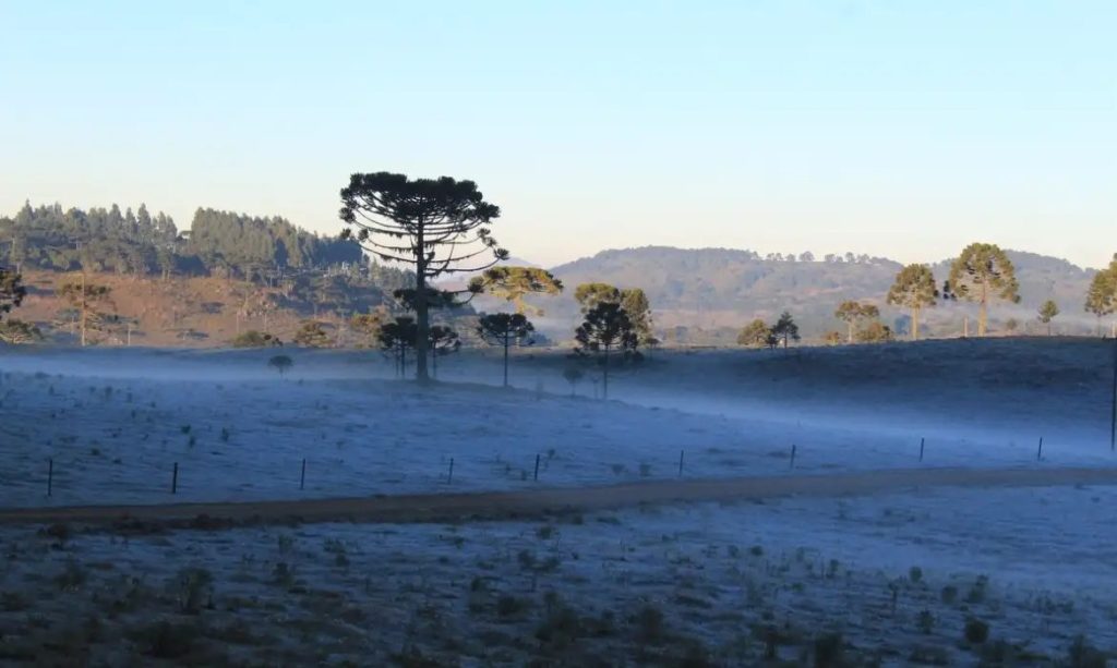 O pior do inverno já passou? Leia a análise da MetSul para o frio nas próximas semanas no RS