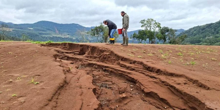 Força-tarefa promove recuperação de solos afetados por calamidade no RS