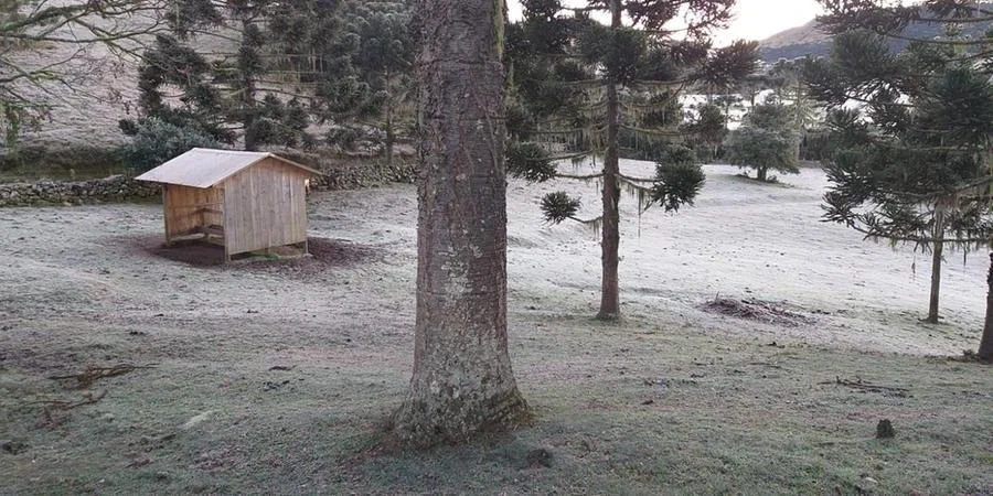 Rio Grande do Sul pode ter três dias consecutivos com neve