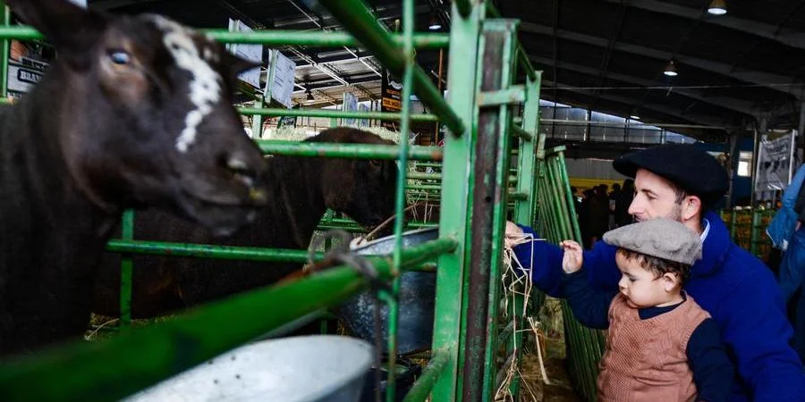 Lazer em família e atrações culturais: o primeiro dia nos pavilhões da Expointer 2024