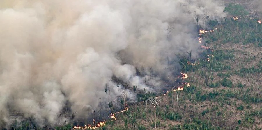Fumaça de queimadas da região Amazônica chegará ao RS nos próximos dias