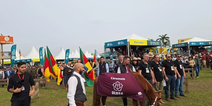 Grande campeão da enchente, cavalo Caramelo, brilha no Desfile dos Campeões na Expointer 2024
