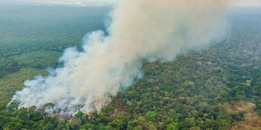 Queimadas e seca: Saúde anuncia tendas para hidratação e nebulização