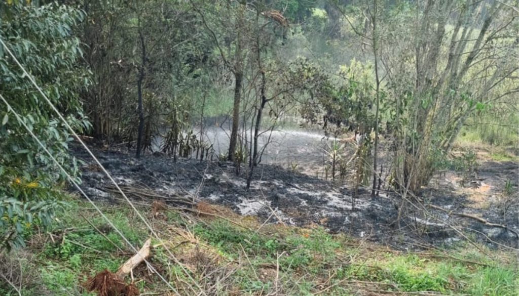 Bombeiros Voluntários apagam incêndio em vegetação no perímetro urbano de Não-Me-Toque