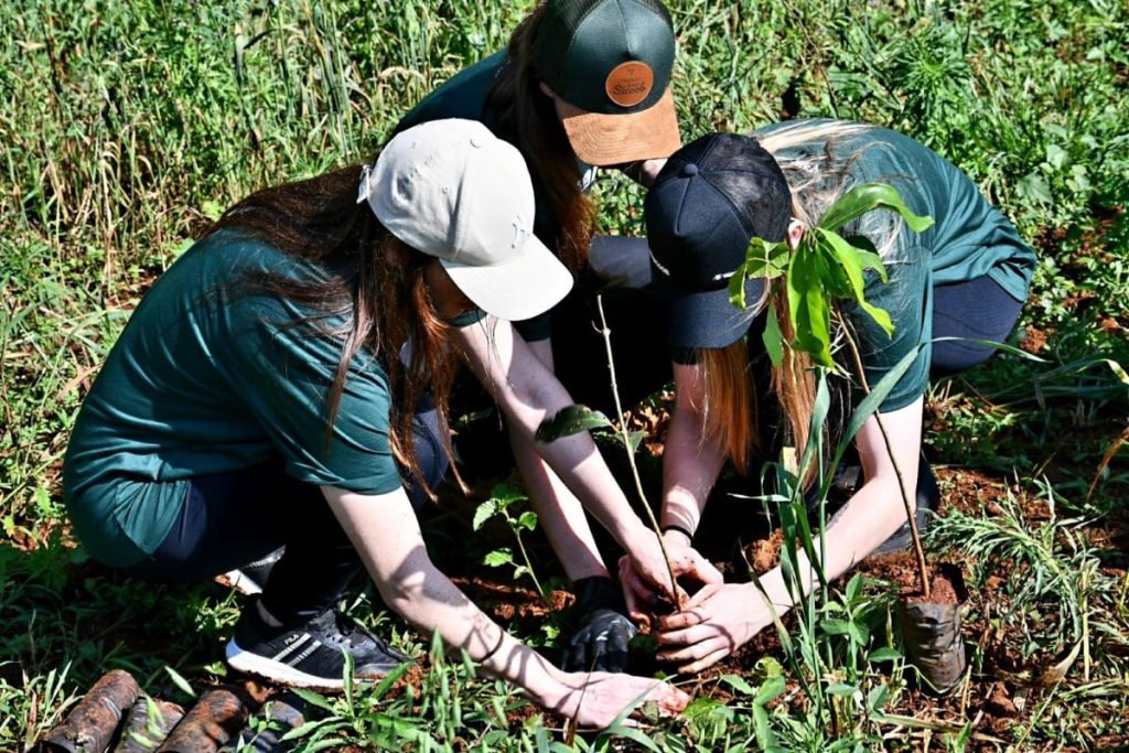 Sicoob Creditaipu lança ‘Projeto Semear’: uma iniciativa de sustentabilidade e educação ambiental