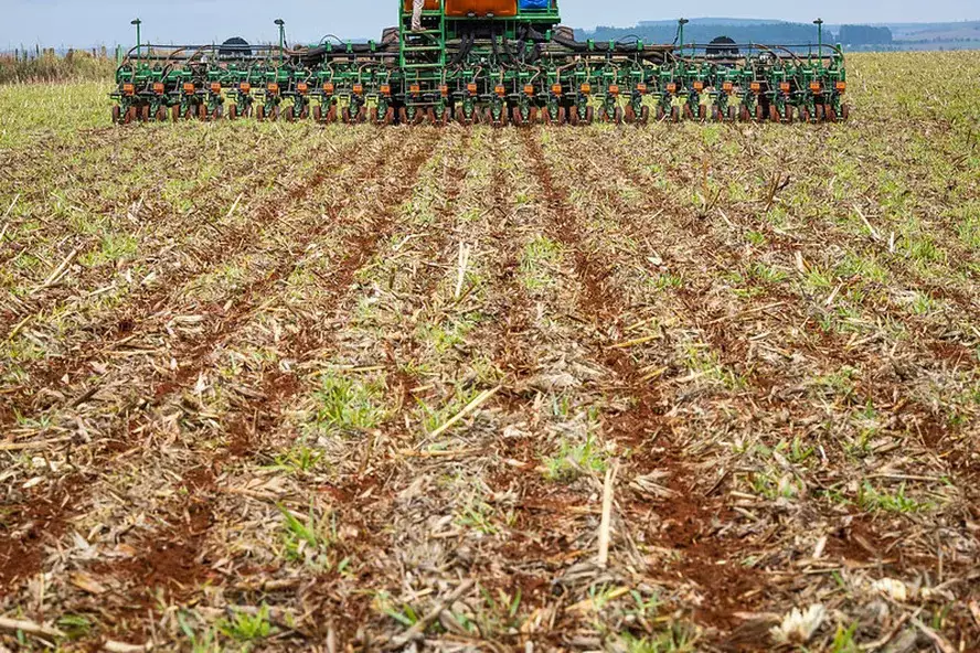 Em 40 anos, área destinada à soja cresce nove vezes no País