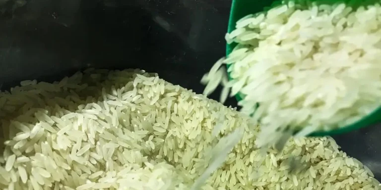 Leilões da Conab negociam 91,7 mil toneladas de arroz