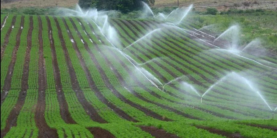 Projetos para o agronegócio são destaque na Consulta Popular do Estado