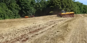 Falta de chuvas afeta lavouras no interior gaúcho