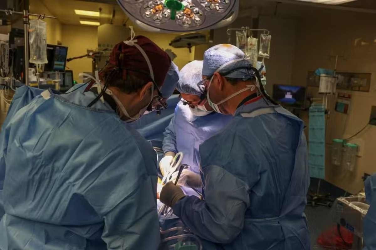 Cirurgiões chineses implantam fígado de porco em humano pela primeira vez