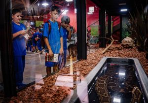 Bosque e serpentes são atrações no Espaço da Natureza