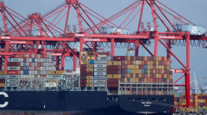 Agro tem quedas de até 100% em exportações para os Estados Unidos