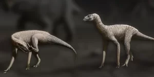 Novo fóssil encontrado no RS preenche lacuna no conhecimento da evolução dos dinossauros