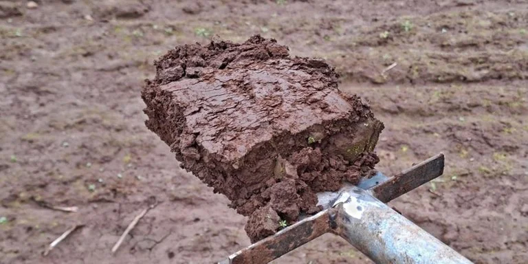 Resgate do solo inicia neste semestre no Rio Grande do Sul