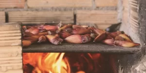5 benefícios do pinhão para a saúde