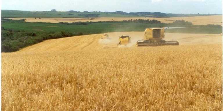 Governo federal congela 42% dos recursos do seguro rural