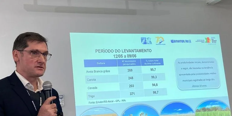 Área destinada ao trigo na safra de inverno gaúcha deverá ser 10% menor que a de 2024