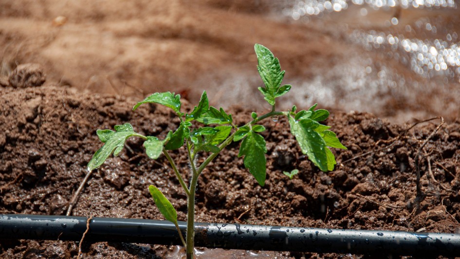 Últimos dias para produtores rurais se inscreverem no Programa Irriga+ do governo do Estado
