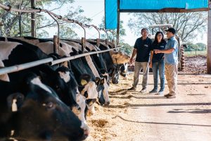 Cotrijal e CCGL distribuem mais de R$ 8,5 milhões em valor adicionado ao ICMS para municípios