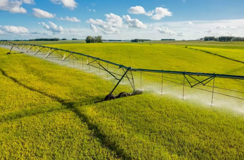 Tarifaço pode tirar cerca de R$ 30 bilhões do agronegócio do País, estima a Confederação da Agricultura e Pecuária do Brasil