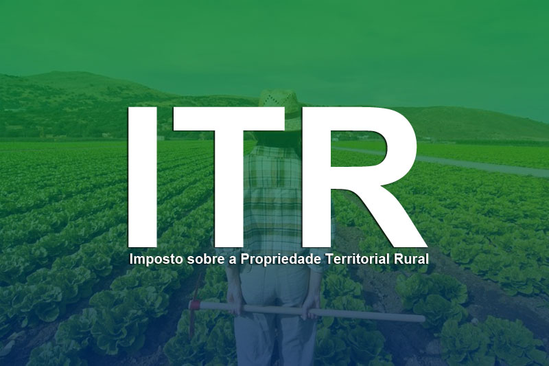 Declarações do ITR 2025 têm início; agricultores devem ficar atentos aos prazos