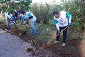 Dia C: Cotrijal promove ações voluntárias ao longo da semana