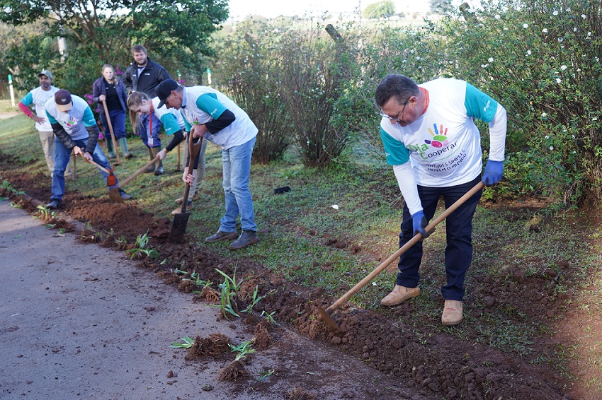 Dia C: Cotrijal promove ações voluntárias ao longo da semana