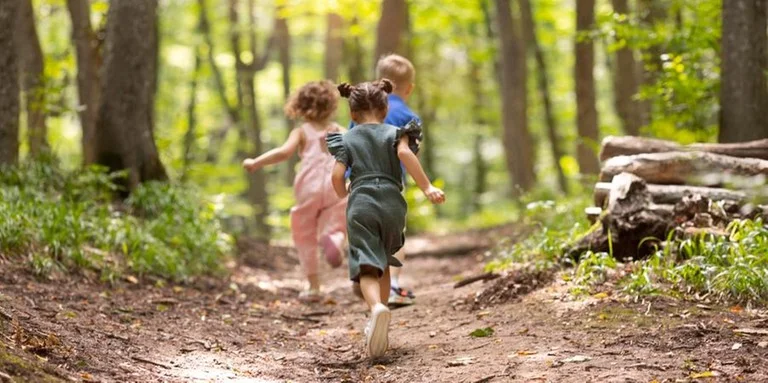 Morar perto de áreas verdes favorece o desenvolvimento cognitivo infantil