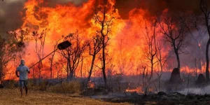 Julho tem menor área queimada dos últimos sete anos