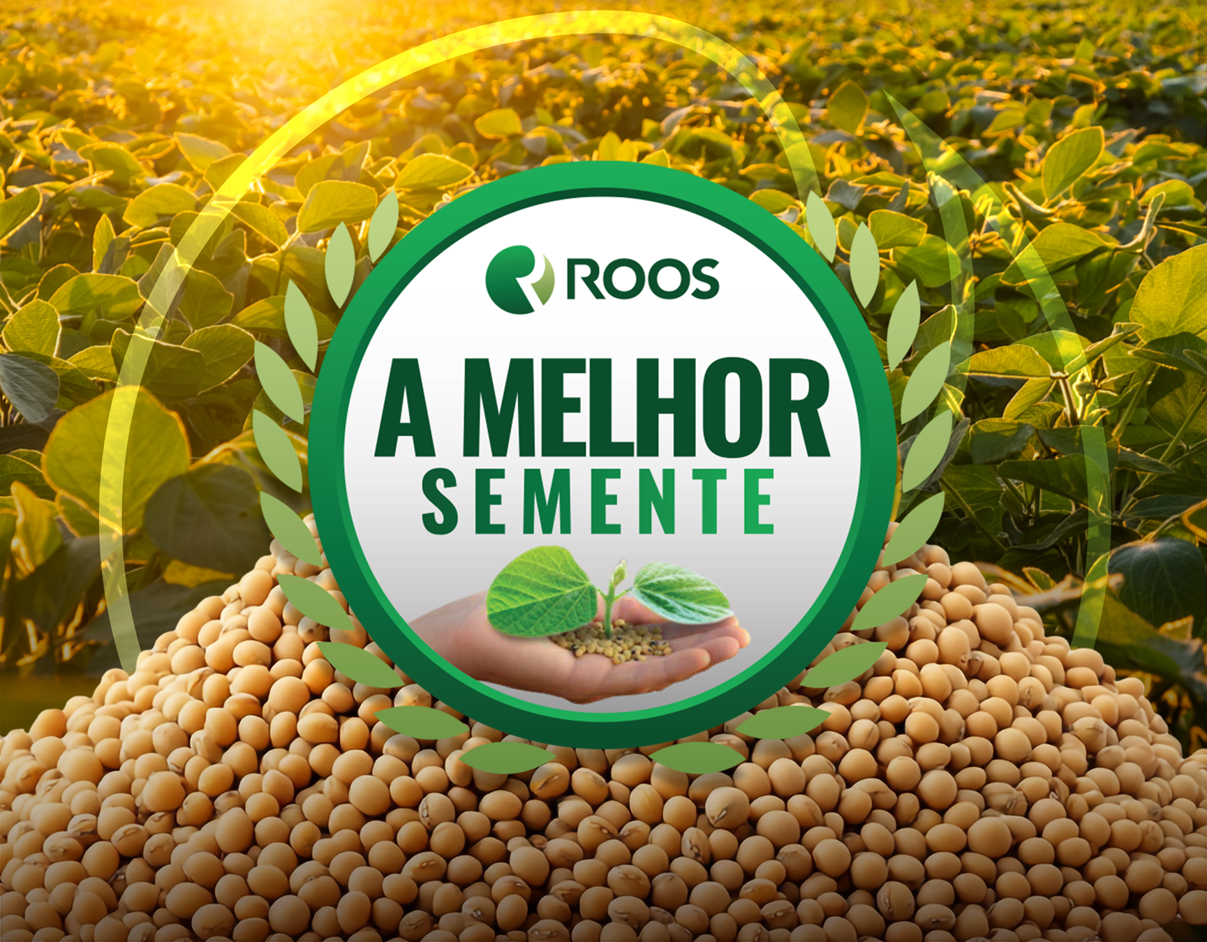 anuncio-site-melhor-semente-ALTA