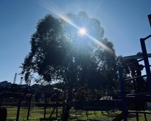 Segunda-feira marca o início da virada do tempo no RS