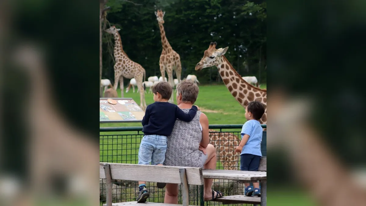 Zoológico na Dinamarca pede doação de pets para alimentar predadores
