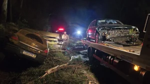 Colisão com árvore caída deixa dois feridos na ERS-324 entre Bela Vista e Pontão