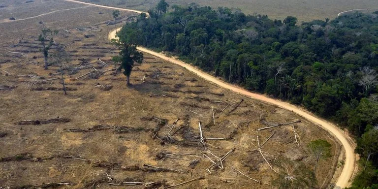 Em 40 anos, Amazônia perdeu área de vegetação do tamanho da França