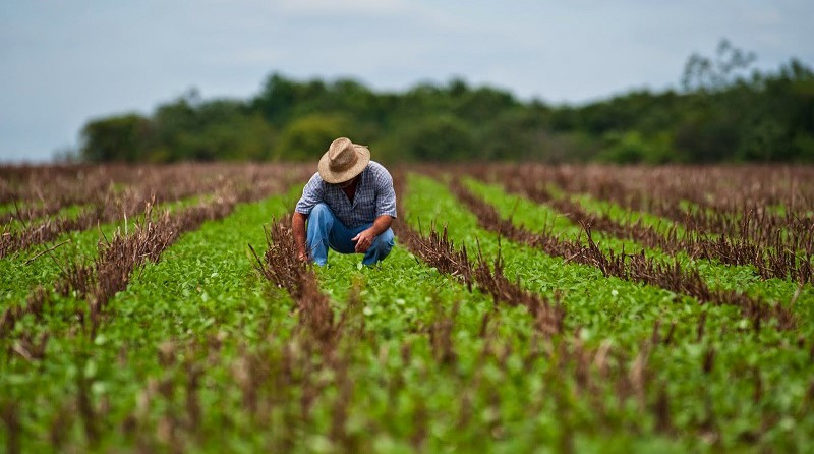 Agricultores de Não-Me-Toque podem se inscrever no Programa Terra Forte até o dia 17 de outubro  