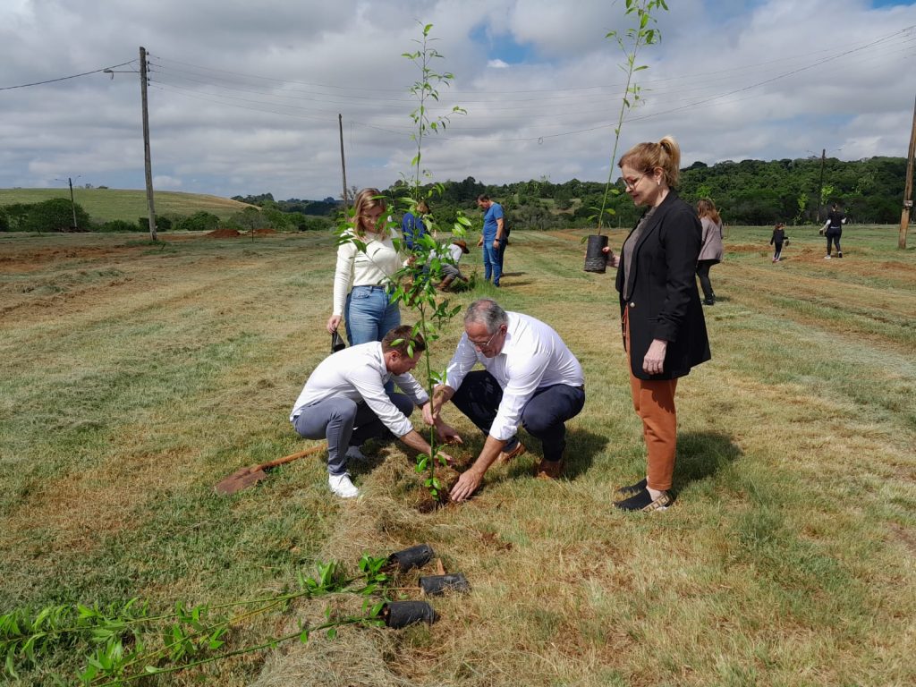Carazinho: Corsan promove ação de sustentabilidade com entrega de 140 mudas de árvores