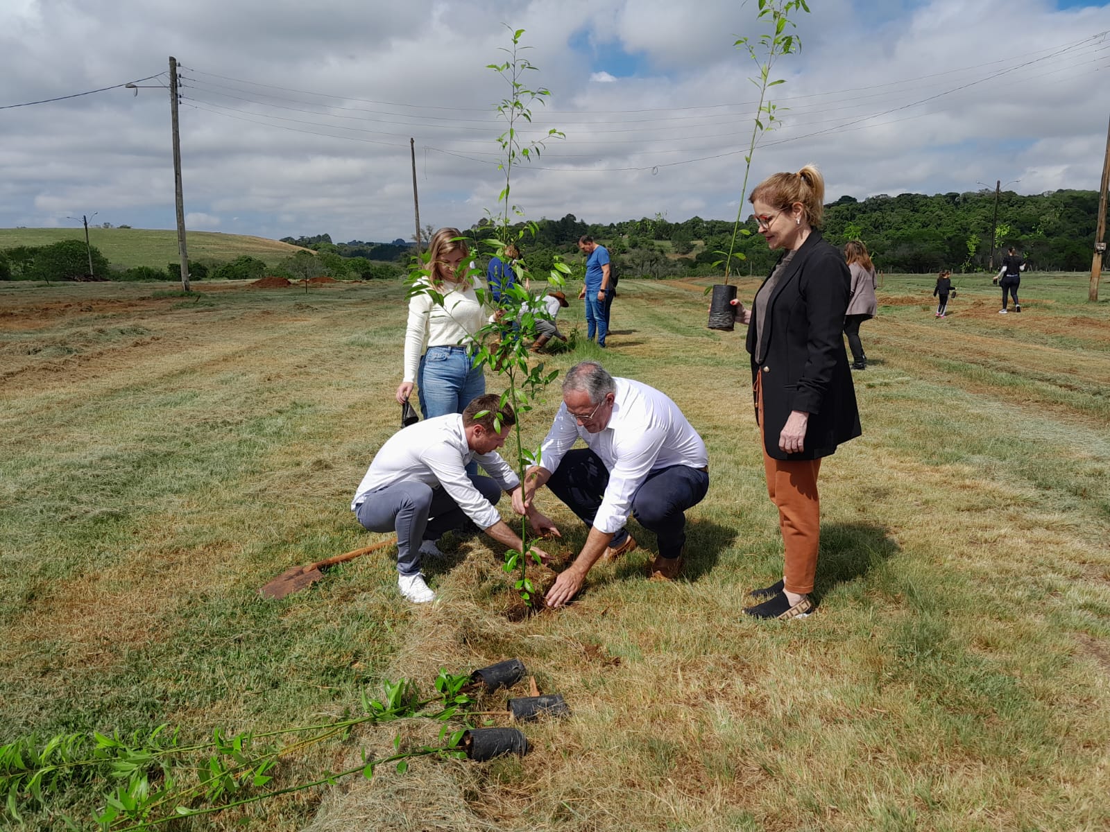 Carazinho: Corsan promove ação de sustentabilidade com entrega de 140 mudas de árvores