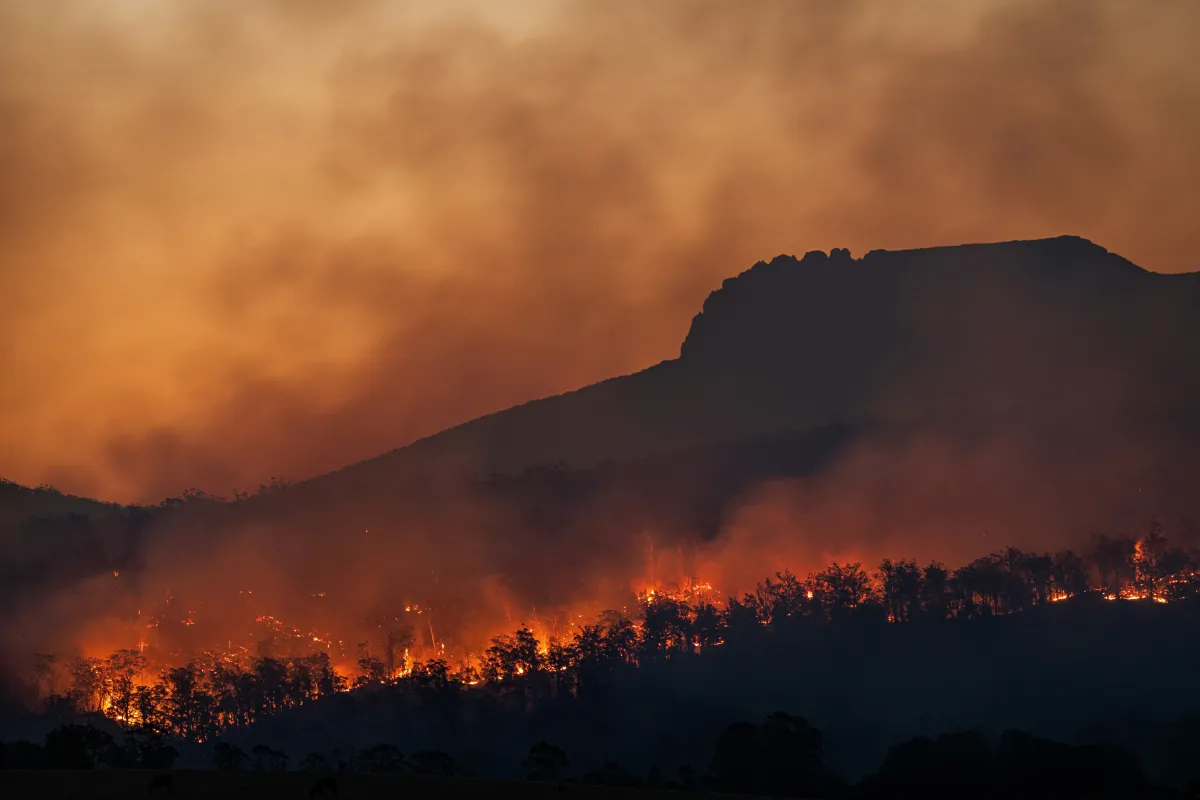 Terras descongeladas podem emitir gases que matarão humanidade; entenda
