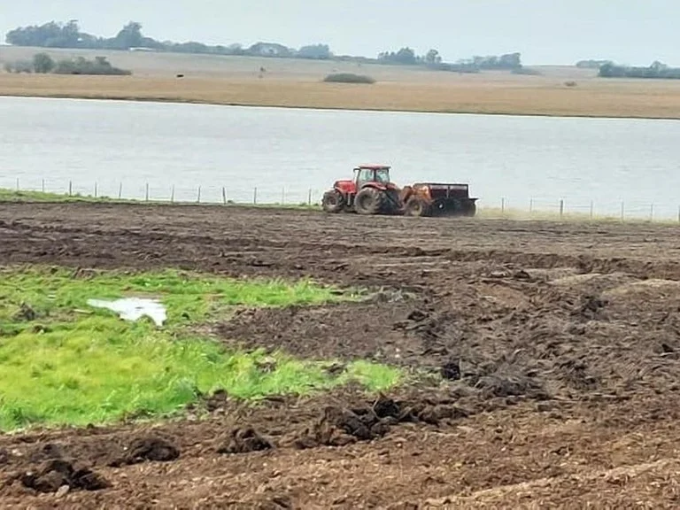 Clima favorece e Zona Sul já plantou 83% do arroz
