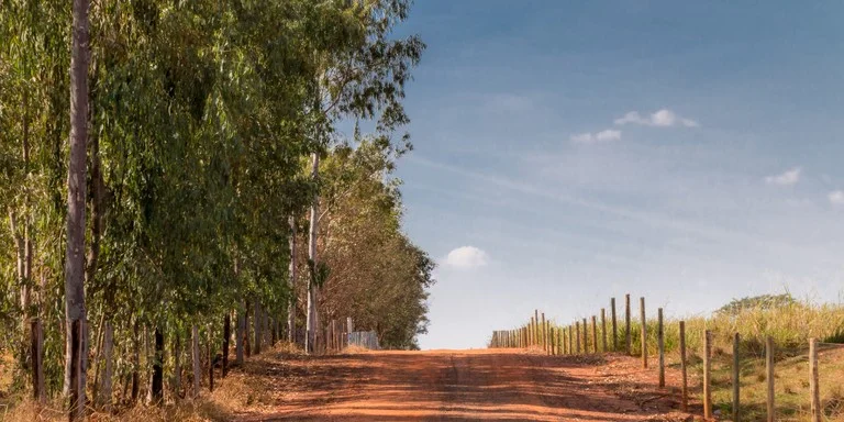 Sindicato denuncia pressão em agrônomos para exercerem funções de engenheiros civis