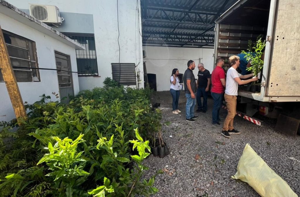 Vice-prefeito e Professora representam Almirante Tamandaré do Sul em ação do projeto “Mil Mudas, Mil Sonhos”