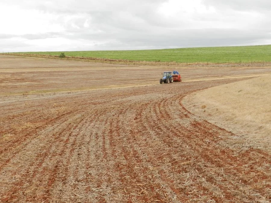 Soja ocupa 5% da área prevista para o RS