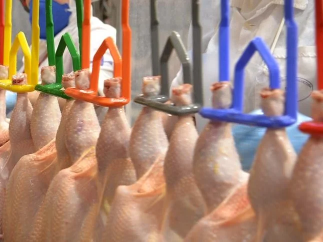 RS amplia os números das exportações de frango