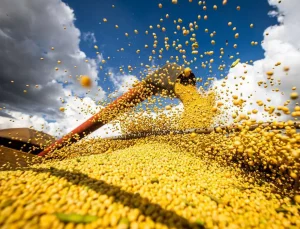 Brasil estima colheita de 354,8 milhões de toneladas de grãos